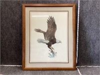 Eagle on Branch Framed Print by Hugh Hirtle