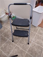 Werner step ladder