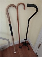 3 canes/walking sticks