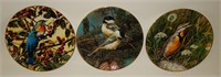 3 Bradex Plates "Portraits of Exquisite Birds"