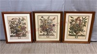 Vintage Botanical Furber Wall Art / Prints - 3