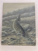 Michael Matherly Acrylic on canvas of fish-18"x14"