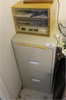 File cabinet and organizer