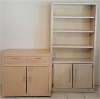 V - LOT OF 2 CABINETS (K61)