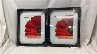 Nexxt 11" x 14" matted for 8" x 10" Photo Frames,