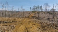 Large Timbered Tract of Land for Sale in Ferrum VA