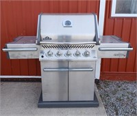 Napoleon gourmet grill with side burner and