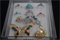 Rings & Brooches In Acrylic Display Case