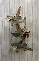 Three Mounted Small Mouth Bass
