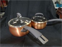2 Small Lidded Epicurious Lidded Pans