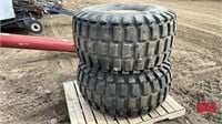 2 21.5L x 16.1 Implement Tires and Rims