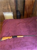 Sears Roebuck & CO 20 Gauge Single Shot Shotgun