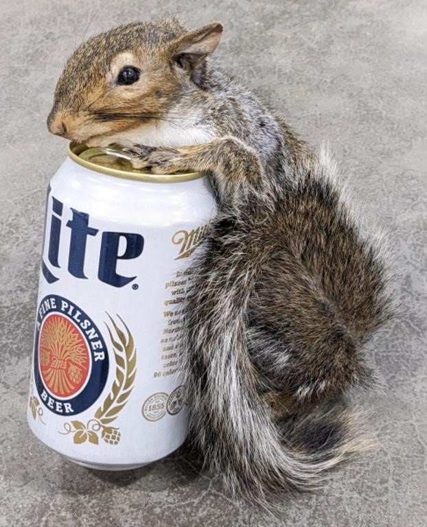 Drunk Drinkin' Full Body Grey Squirrel w/ Miller