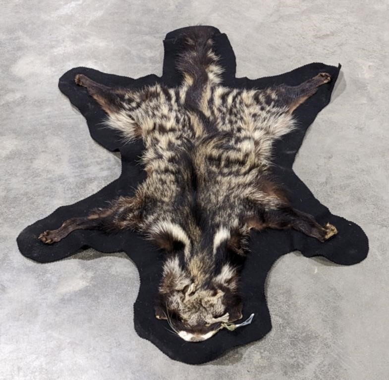 African Civet Cat Full Body Rug on Felt Mat