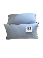Decorative Pillows(USBR1)