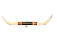 Large Steer Horns(USBONUS)