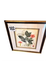 Framed Botanical(DEN)