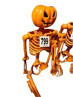 Orange Skeleton(Attic)