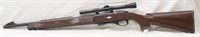 Remington Nylon 11 22 Short or Long Rifle,