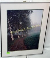 Photo Country Lane-27x22