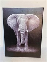 Elephant Print Canvas