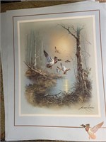 3 ANDRES CAPINAS DUCK POSTERS - 28 X 22 “ EA