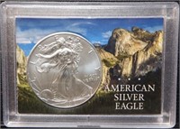 2012 American Eagle .999 silver Dollar - Coin