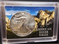2012 American Eagle .999 Silver Dollar - Coin