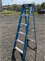 6' Step Ladder