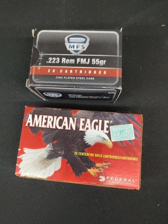 MFS and American Eagle 223 Rem FMJ 55gr