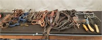 Lot of Horse Tack, Bits & Grooming Supplies. 3