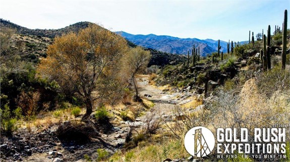 Arizona Commercial Gold Mines-Real Estate-Development