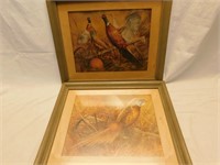 Pair of framed pics of Ring-Necked Pheasants.