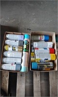 (2) Boxes of Spray Paints