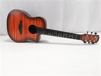 Beginners Acoustic Guitar