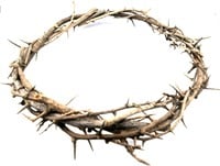Passion of Christ Crown of Thorns/Authentic Crown