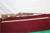 Vintage Pellet Gun