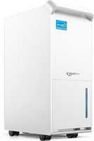 Energy Star Dehumidifier for Basement with Drain