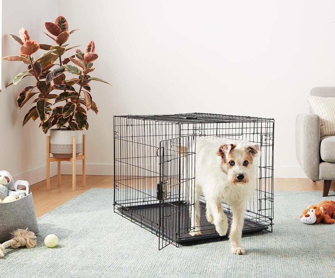 Foldable Metal Wire Dog Crate 36x23 Amazon Basics
