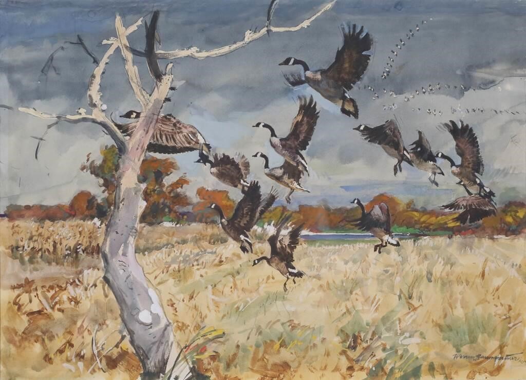 Warren Baumgartner Watercolor Geese