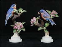Royal Worcester Pair Blue-Birds