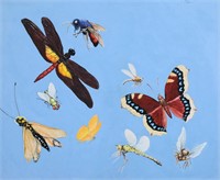 Mel Hunter Illustration Insects