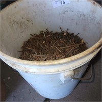 Bucket of Nails