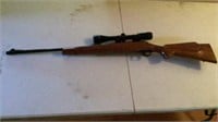 Remington, Model 700, 243 Win.,
 w/ Scope