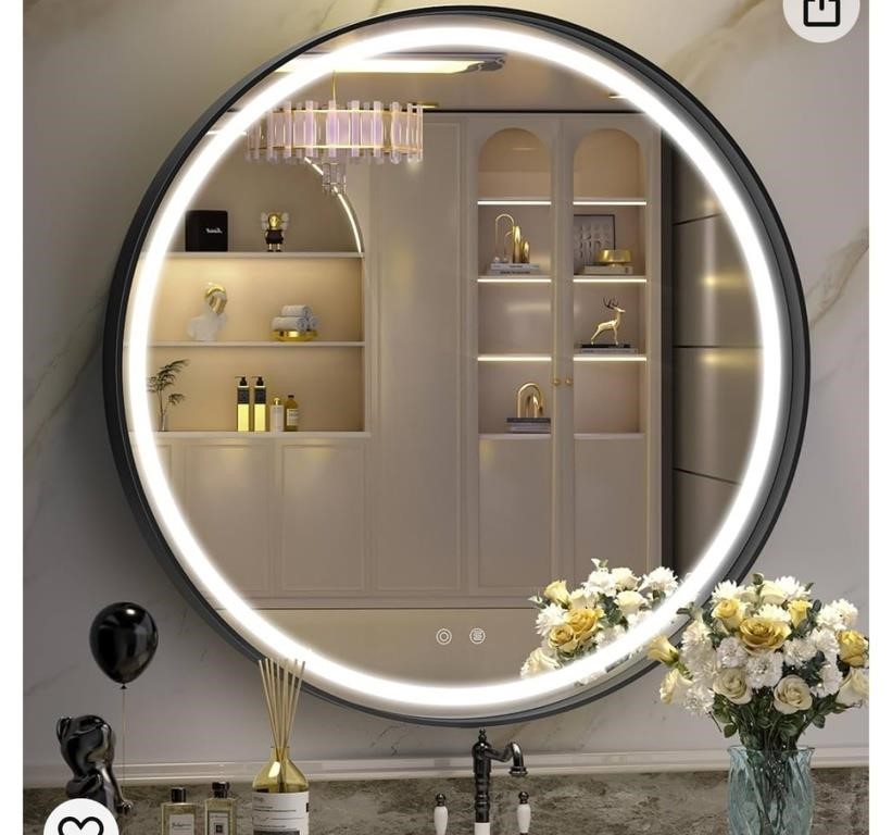 Hasipu 30" LED Bathroom Mirror with Light, Round