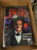 EDGAR ALLAN POE NOVEL