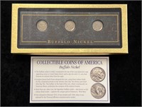 Buffalo Nickels Set in Display Slab