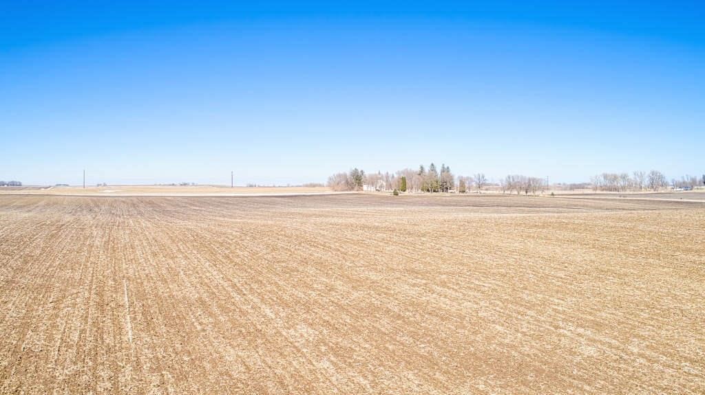 118 Acres m/l in Palo Alto County, Iowa