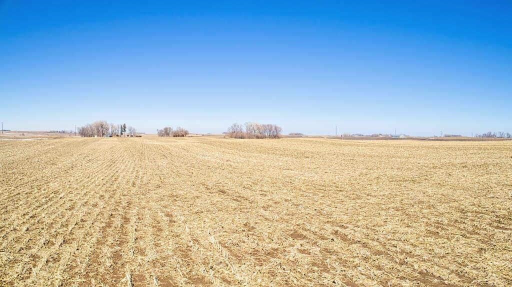 118 Acres m/l in Palo Alto County, Iowa