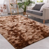 Fluffy Area Rugs for Living Room
